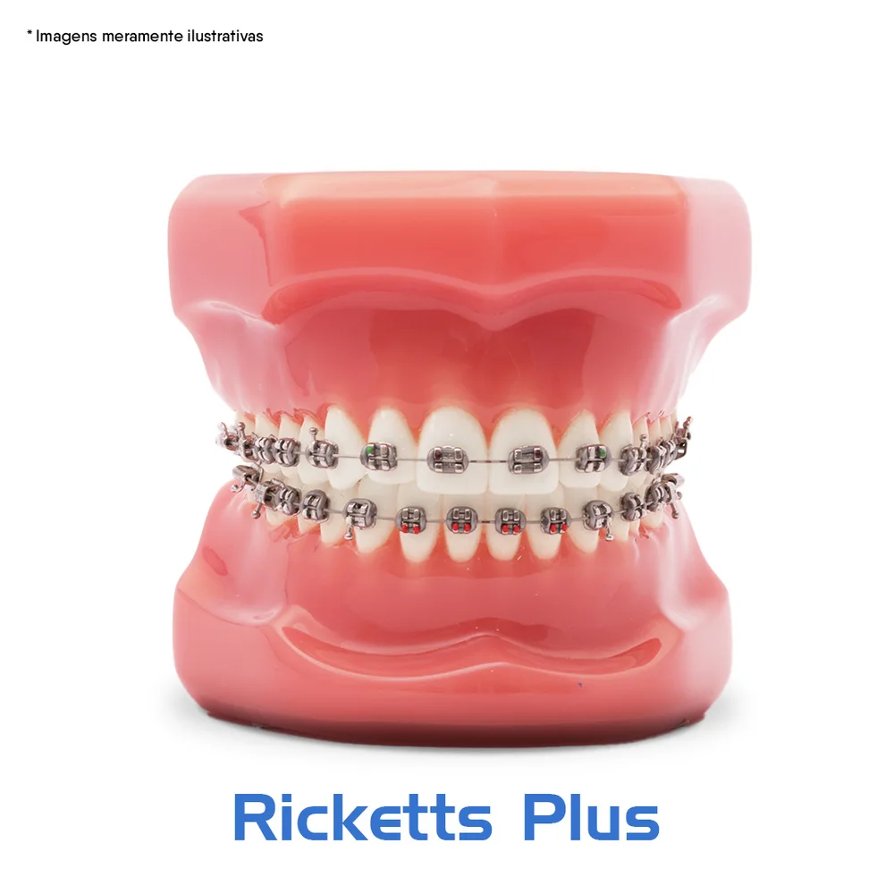 Manequim de Desmonstração Ricketts Plus